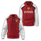 FRR Hoodie USPL208